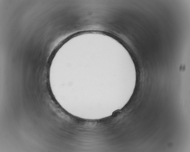 X0000111171364200908121037