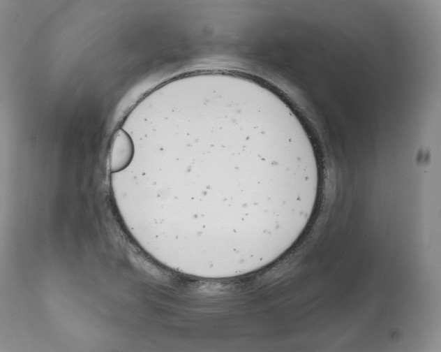 X0000111171366200908121037