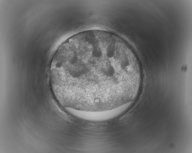 X0000111171367200908121037