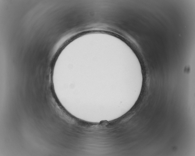 X0000111171368200908121037