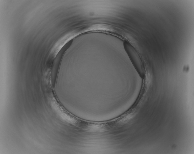 X0000111171369200908121037