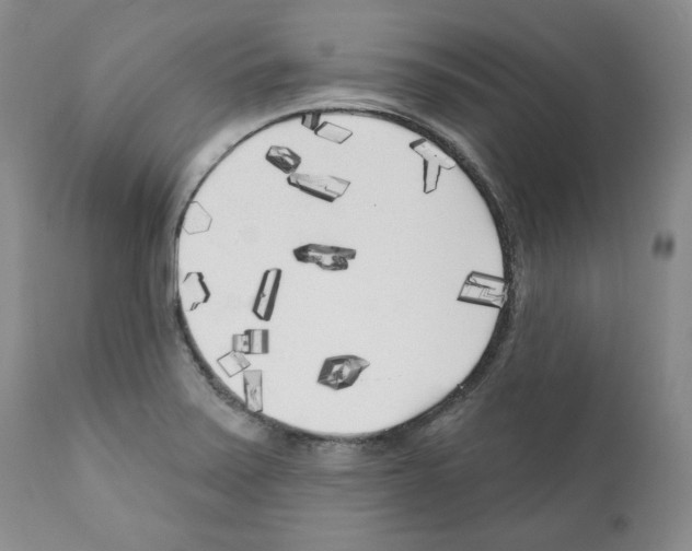 X0000111171371200908121037