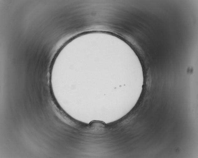 X0000111171372200908121037