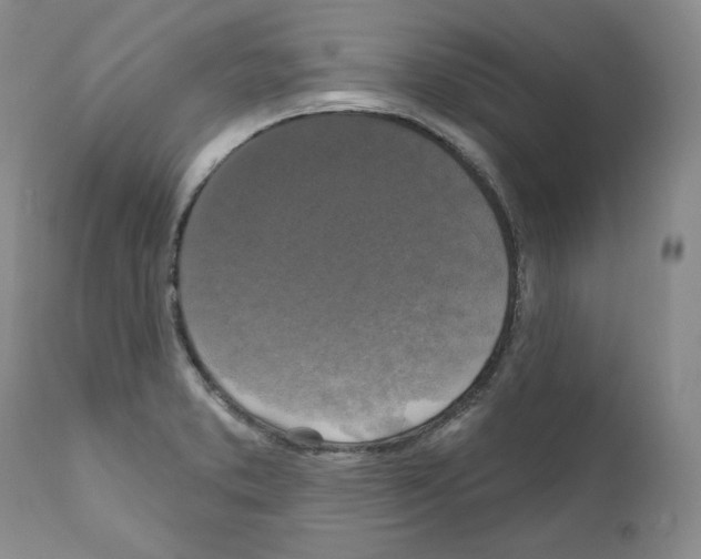 X0000111171373200908121037