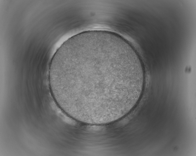 X0000111171374200908121037