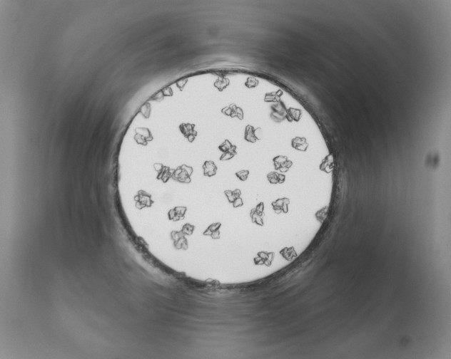 X0000111171375200908121037