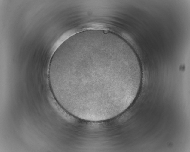 X0000111171378200908121037