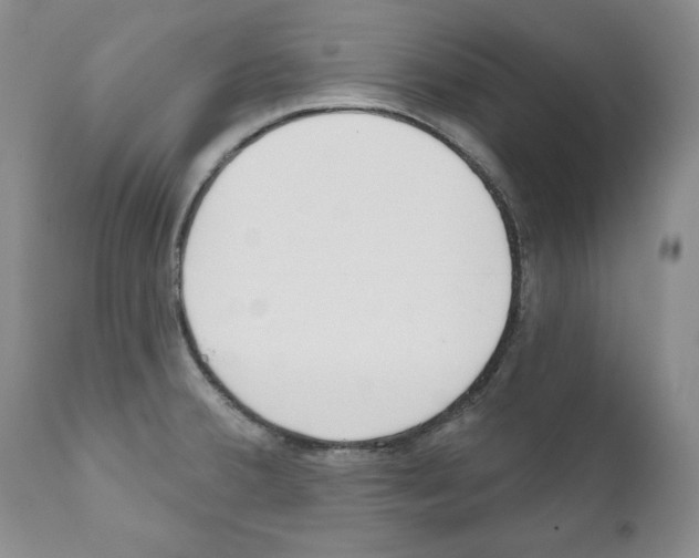 X0000111171380200908121037