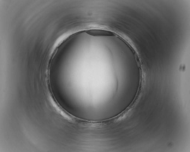 X0000111171381200908121037