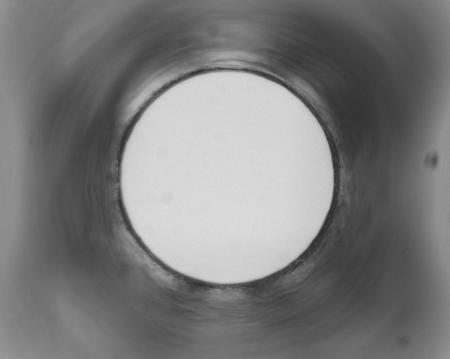 X0000111171384200908121037