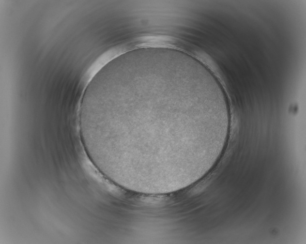 X0000111171386200908121037