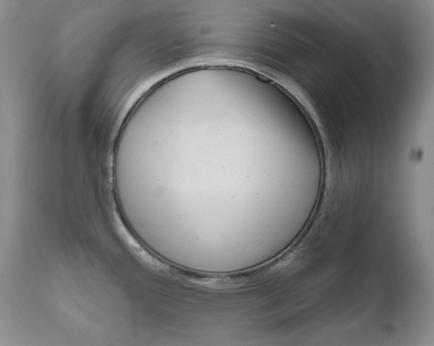 X0000111171388200908121036