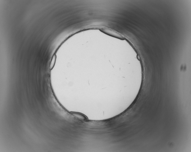 X0000111171392200908121036