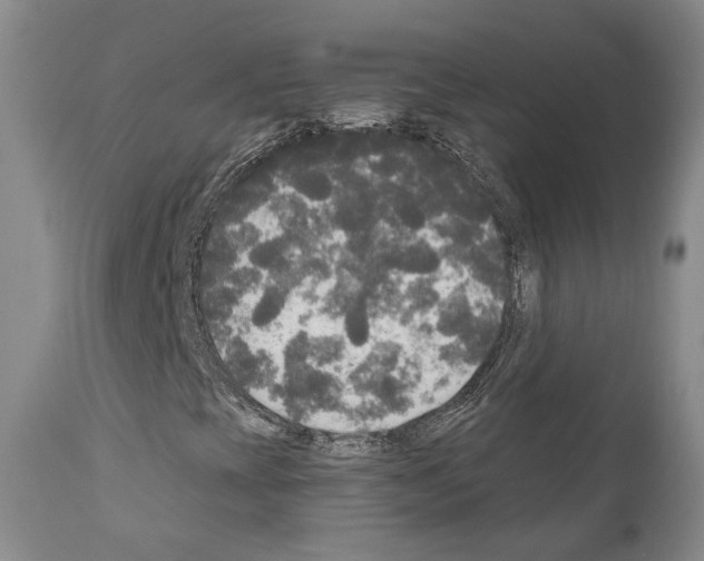 X0000111171393200908121036