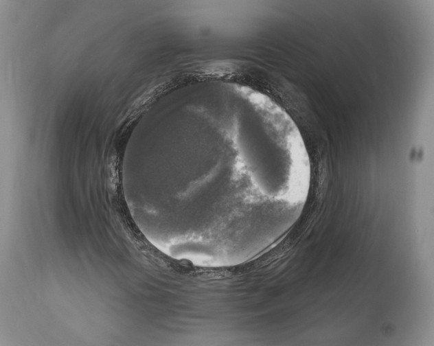 X0000111171394200908121036