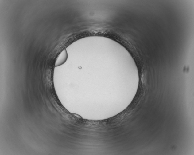 X0000111171396200908121036