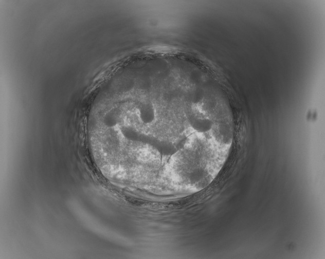 X0000111171397200908121036