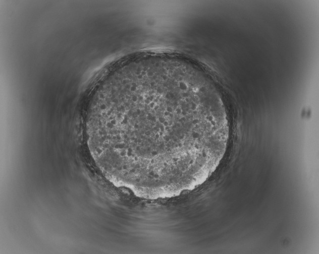 X0000111171398200908121036