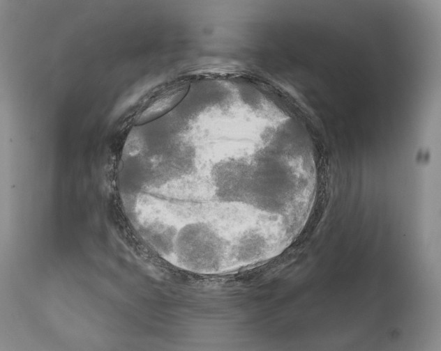 X0000111171399200908121036