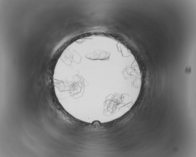 X0000111171400200908121036