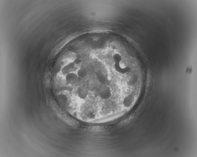 X0000111171401200908121036