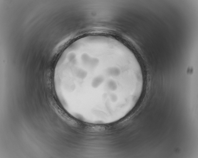 X0000111171403200908121036