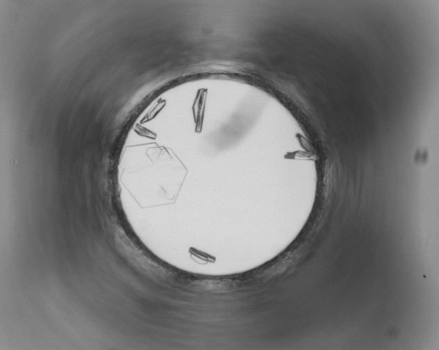 X0000111171404200908121036