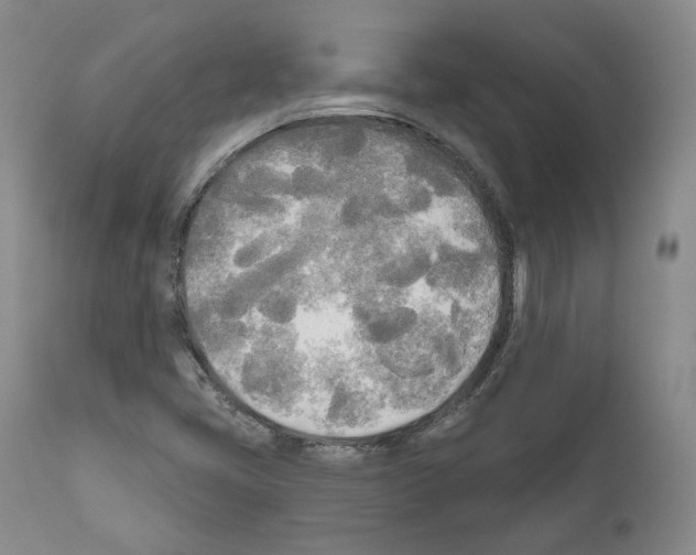 X0000111171405200908121036