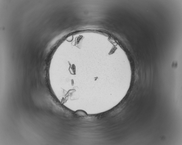 X0000111171406200908121036