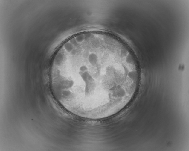 X0000111171407200908121036