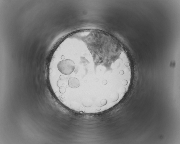 X0000111171408200908121036