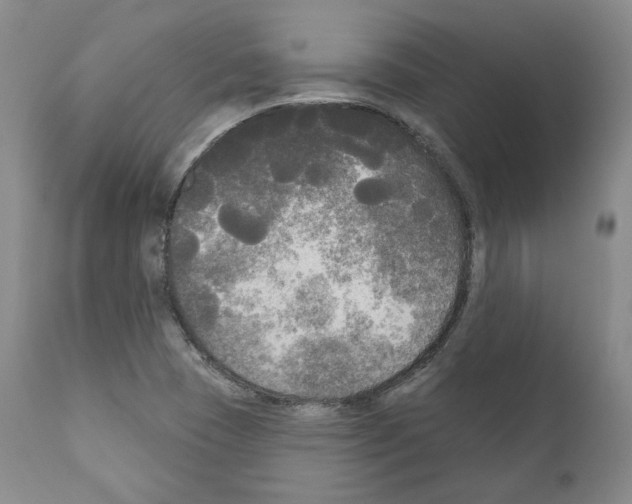 X0000111171409200908121036