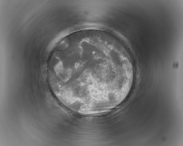 X0000111171411200908121036