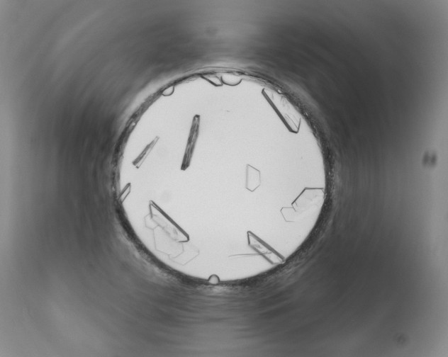 X0000111171412200908121036