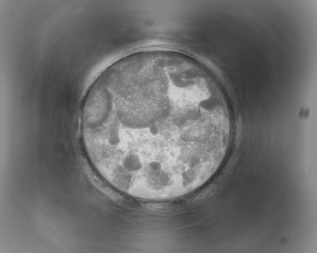 X0000111171413200908121036