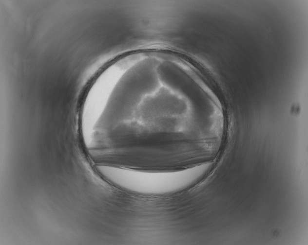 X0000111171414200908121036