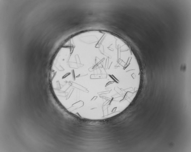 X0000111171416200908121036