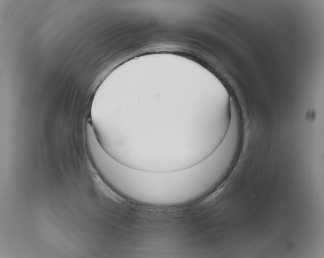 X0000111171417200908121036