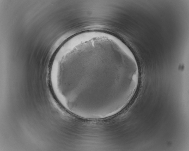 X0000111171418200908121036