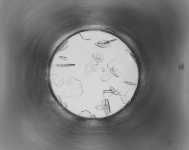 X0000111171420200908121036