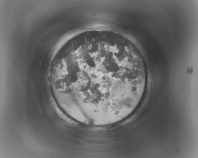 X0000111171421200908121036