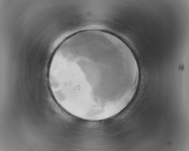 X0000111171422200908121036