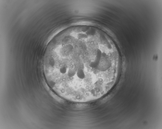 X0000111171425200908121036