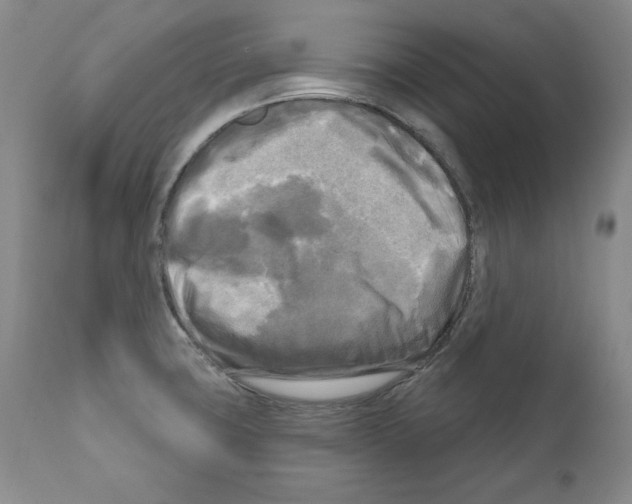 X0000111171427200908121036