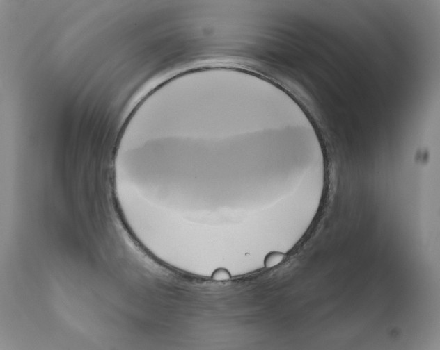 X0000111171428200908121036