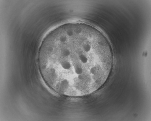 X0000111171429200908121036