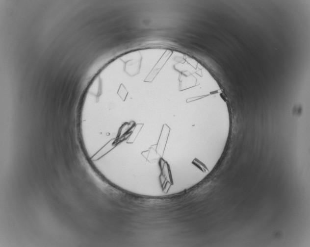 X0000111171430200908121036