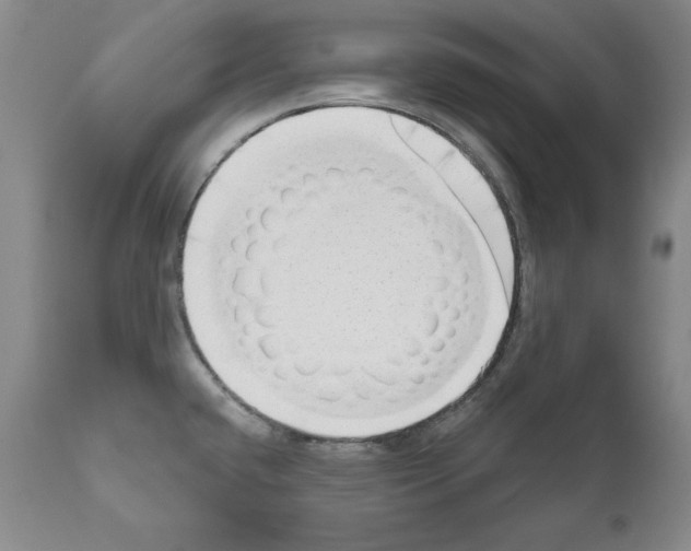 X0000111171432200908121036