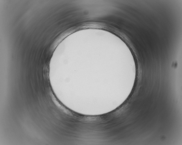 X0000111171433200908121036