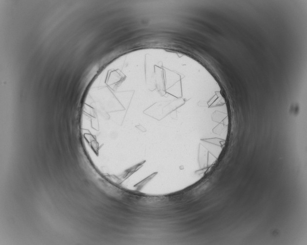 X0000111171434200908121036